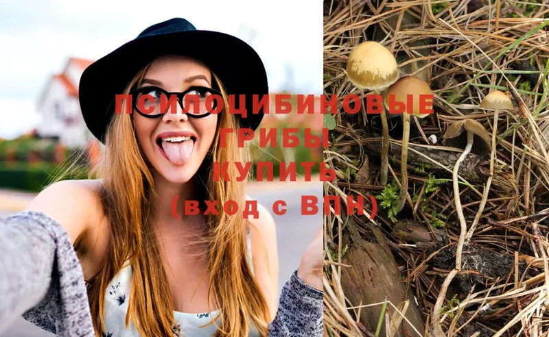 Псилоцибиновые грибы MAGIC MUSHROOMS  мега как войти  Пересвет 